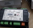 InteliLite NT AMF 25